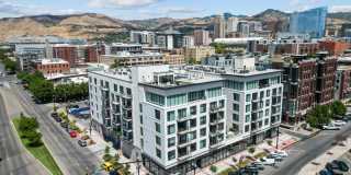 The Olive The Olive Gallery 6