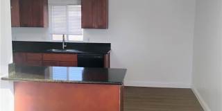 21862 Dracaea Gallery 2