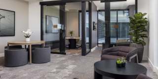 Vivo on Harbor Gallery 24