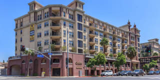 The Orsini Gallery 6