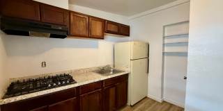 Ochoa 1211 Gallery 4