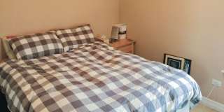 3808 North SHEFFIELD Ave. Apt. Gallery 27