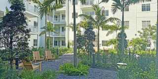 Illumina at Gulf Coast Town Center Gallery 18