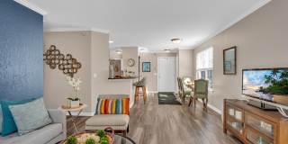 The Graham Gallery 19