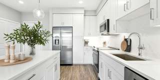 Coulter Place Gallery 1