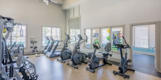 Arbor Village Gallery 19