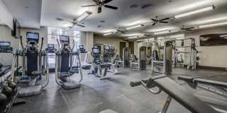 Park at City Center Gallery 13