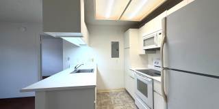 1 Bedroom, 1 Bathroom, 1 Parking (Pulua) Gallery 1