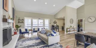 Forest Cove Gallery 51