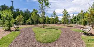 Sugarloaf Walk Gallery 30