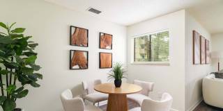 Mountain View Gallery 7