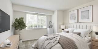 Fairfax Square Gallery 6