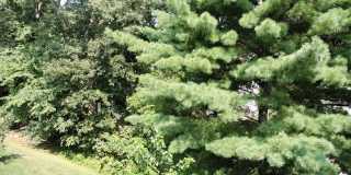 2219 LOWELLS GLEN RD #K Gallery 24