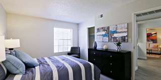 Rise Skyview Gallery 37