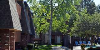 Monaco Parkway Apartments Gallery 6