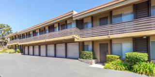 Elán Avante Apartment Homes Gallery 10