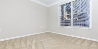 Emerson at Cherry Lane Gallery 40