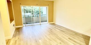 1602 Belmont Place Gallery 5