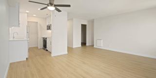 Northpark Gallery 51