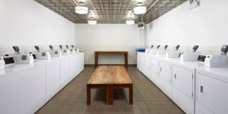 The Blackwood Gallery 10