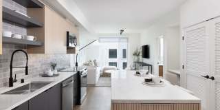 AVE Santa Clara Gallery 1