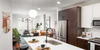 Trovita Rio Trovita Rio Gallery 1