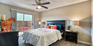 The Palm on SPID Gallery 11