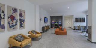 The Carson Gallery 52