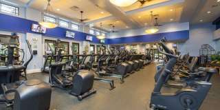 10360 Prato Drive Gallery 38