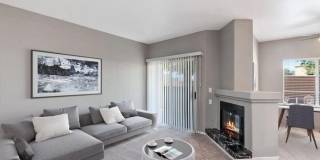 Arium Meadows Gallery 24