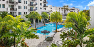 Indigo Palmetto Bay Gallery 8