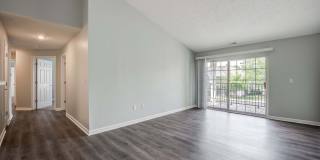 Indy7925 Gallery 15