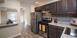 Thalia Gardens Gallery 11