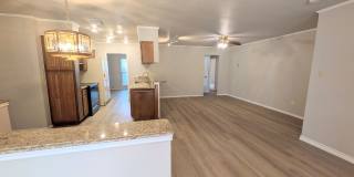 Leon Valley Gem!! Gallery 27