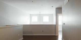 2020 5TH AVENUE Gallery 15