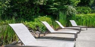 Audubon Square Gallery 6