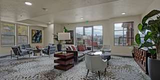 Hills at Sandy Station Gallery 12