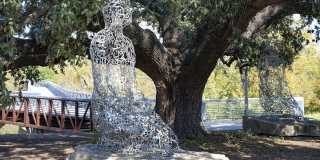 Cortland River Oaks Gallery 37