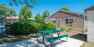 Sussex Downs Gallery 69