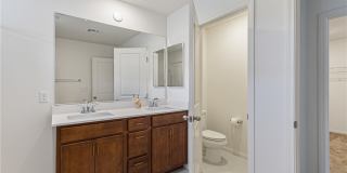 10034 Sir Atlas Court Gallery 19