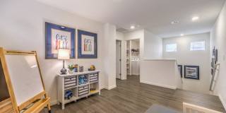 Shadow Bay Gallery 5