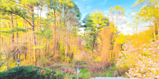 1289 BALLANTRAE FARM Drive Gallery 55