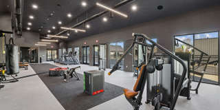 Springside Middletown Gallery 21