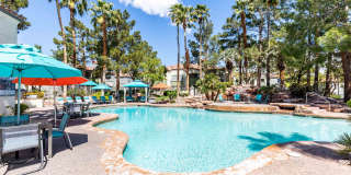 Vintage Pointe Gallery 15