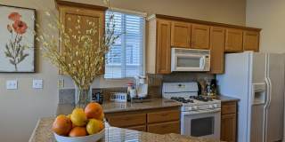 49544 Wayne Street Gallery 16