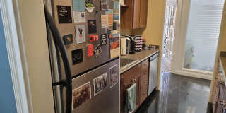 15 Vann Avenue Gallery 19