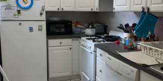 36 Egmont St #3C Brookline MA 02446 Gallery 10