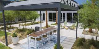 The Lotus Gallery 13