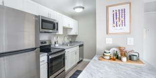 Woodland Gardens Gallery 2