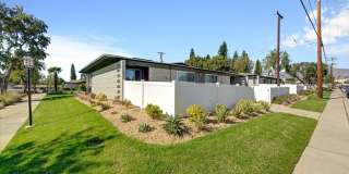 The Pines Apartments Gallery 89